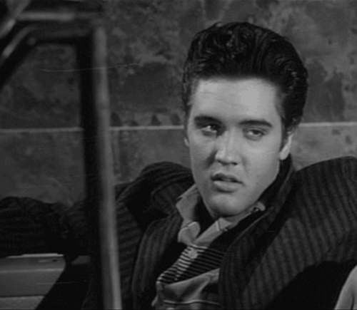 elvis-panting.gif