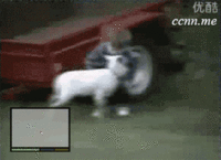 3f9.gif