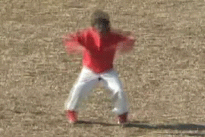 giphy.gif