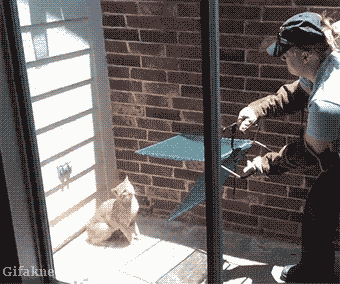 tumblr_ofg5wrwMdD1ukldkho1_400.gif