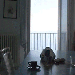 tumblr_ou3z60Lg8J1tfmrz4o1_250.gif