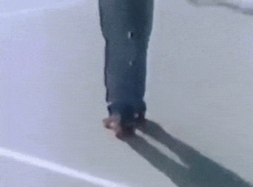 giphy.gif