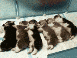 B6tAJ.gif
