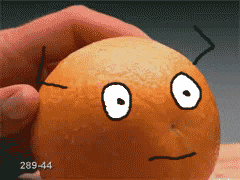 giphy.gif