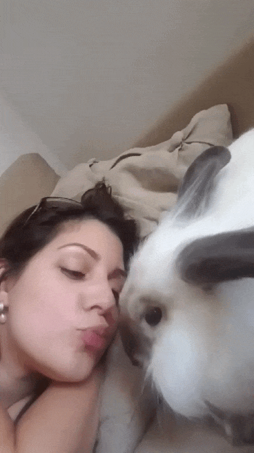 hornoxe.com_gifdump272_4.gif