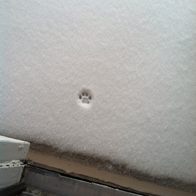 picdump401_021.jpg