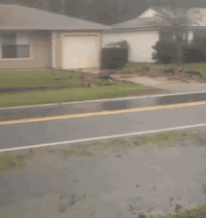 tumblr_oerh0gyy851s02vreo1_400.gif