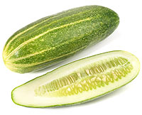 gurke.jpg