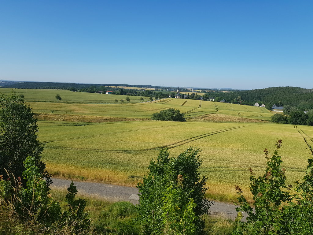 36143817pa.jpg