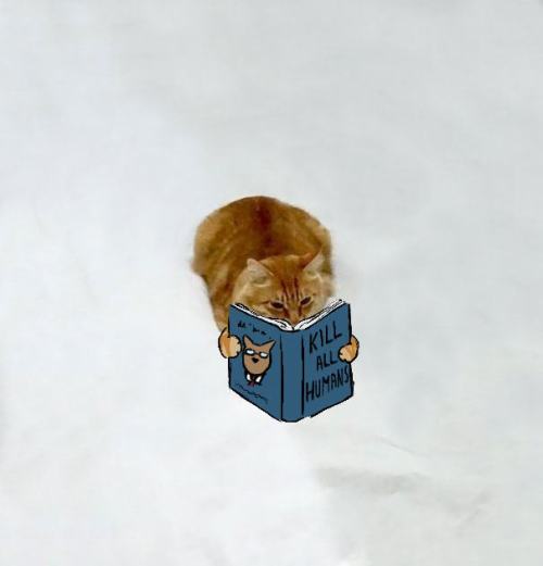 tumblr_nz01wzDMQ61qzcv7no4_500.jpg