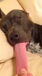 s4YF8Vb.gif