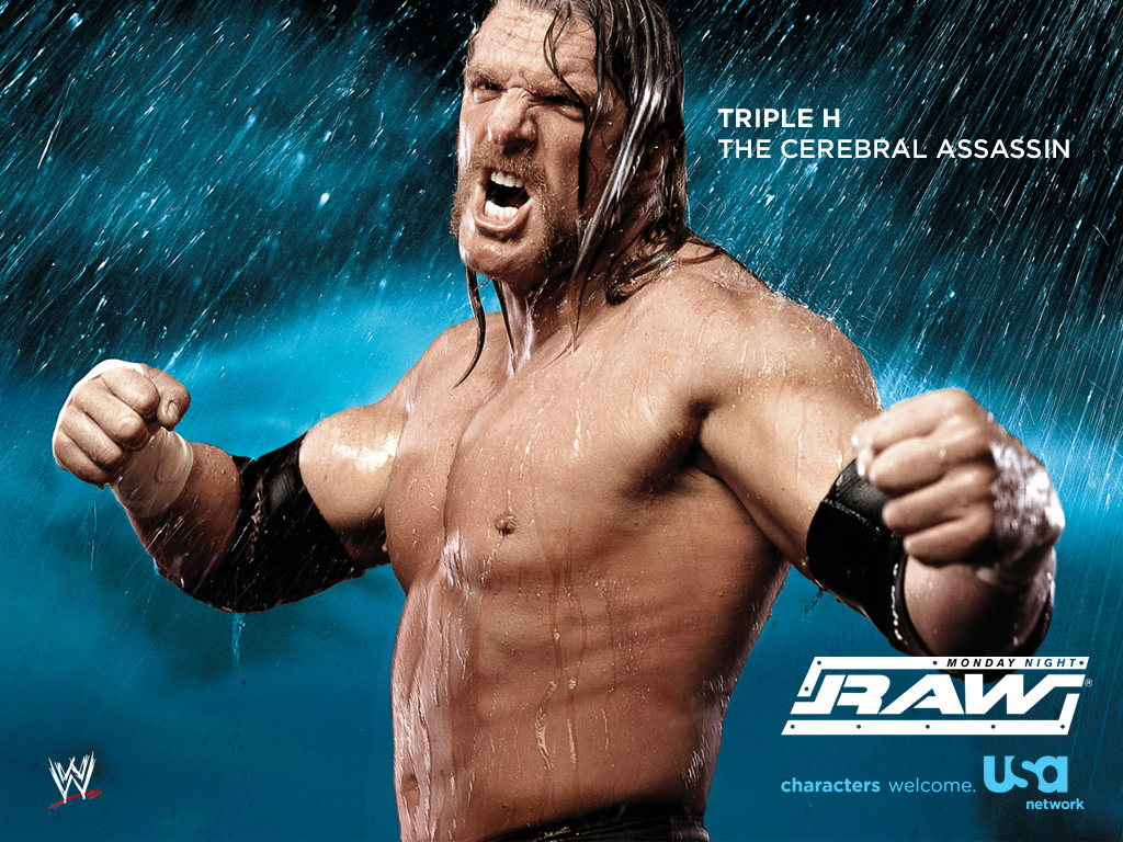 Triple-H-triple-h-416570_1024_768.jpg