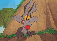 200w_d.gif