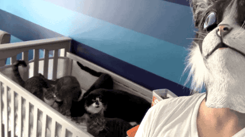 tumblr_nxdqtj508y1s02vreo2_500.gif