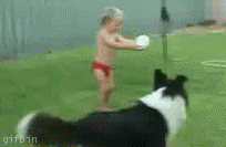 hornoxe.com_gifdump17_3.gif