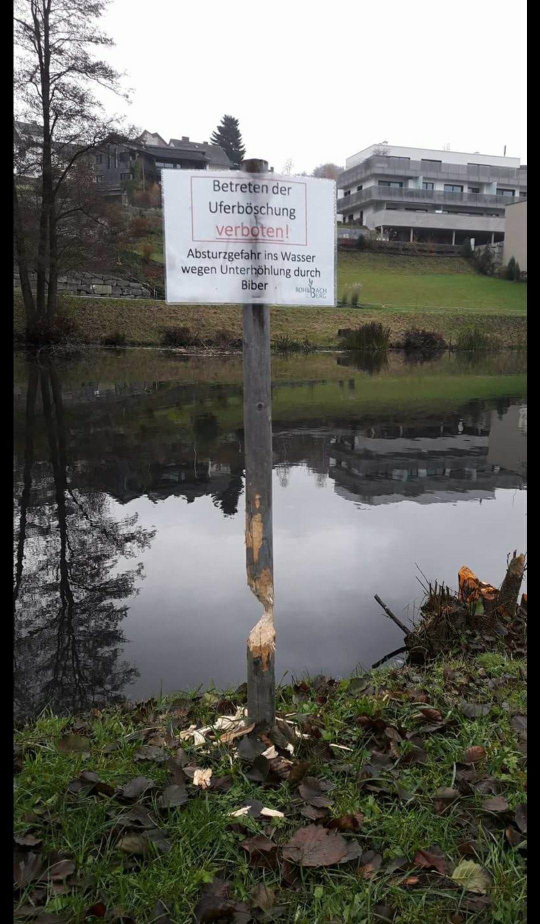 oRlzAg6.jpg