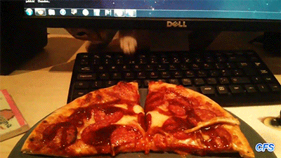tumblr_nlql0tkP0m1qb6v6ro1_400.gif