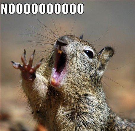 Noooooooooooooo_bbed2b_1479832.jpg