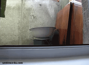 r3mqytk.gif