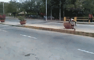 giphy.gif