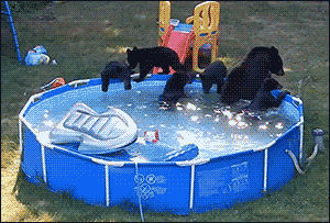 tumblr_ntg5w5N3yL1s02vreo1_400.gif