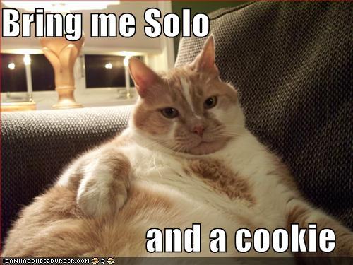 java-the-cat.jpg