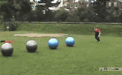 br6bnkvitkngf24v8.gif