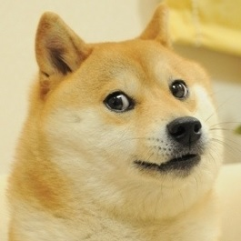 original%2Bdoge.png