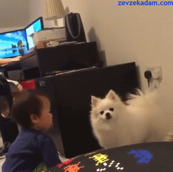 tumblr_ofm9cboQ5a1s3n53to1_400.gif