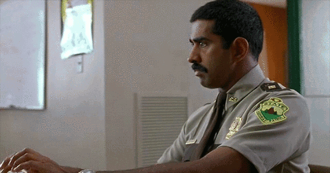 OIa3IHQ.gif