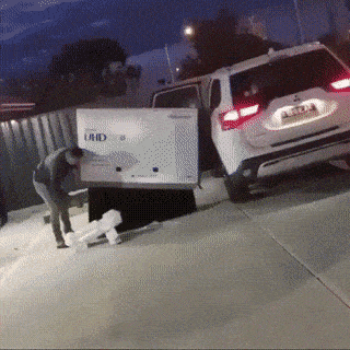 daily_gifdump_4847_57.gif