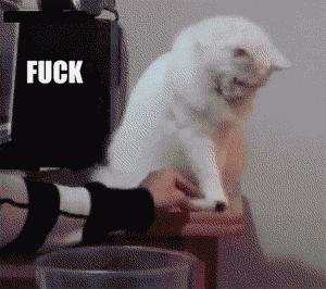 tumblr_ml872cqdVj1rq3b5ko1_400.gif