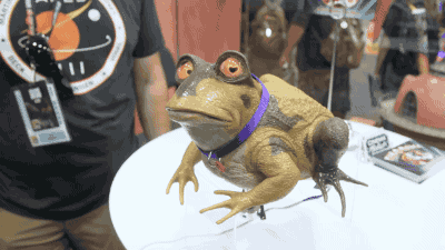tumblr_oe6glszcnY1s02vreo2_400.gif