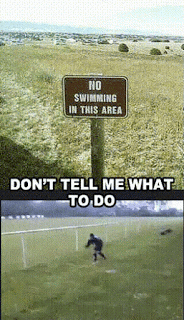 tumblr_okh5xerSff1v8nmmwo1_250.gif