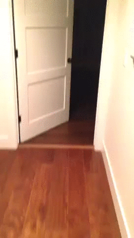 hornoxe.com_gifdump153_8.gif