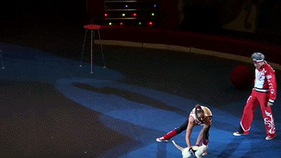 hornoxe.com_gifdump39_21.gif