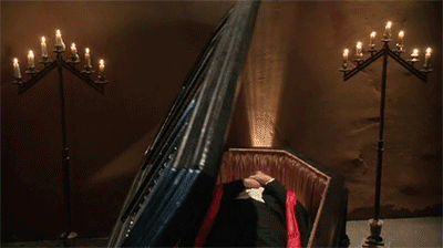 tumblr_mnh6lgclwJ1spkzrho1_400.gif