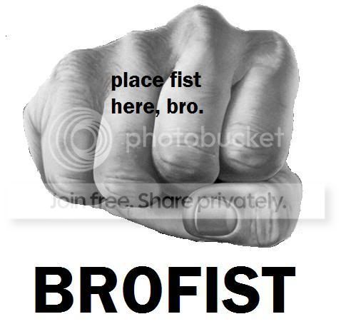 brofist3536544.jpg