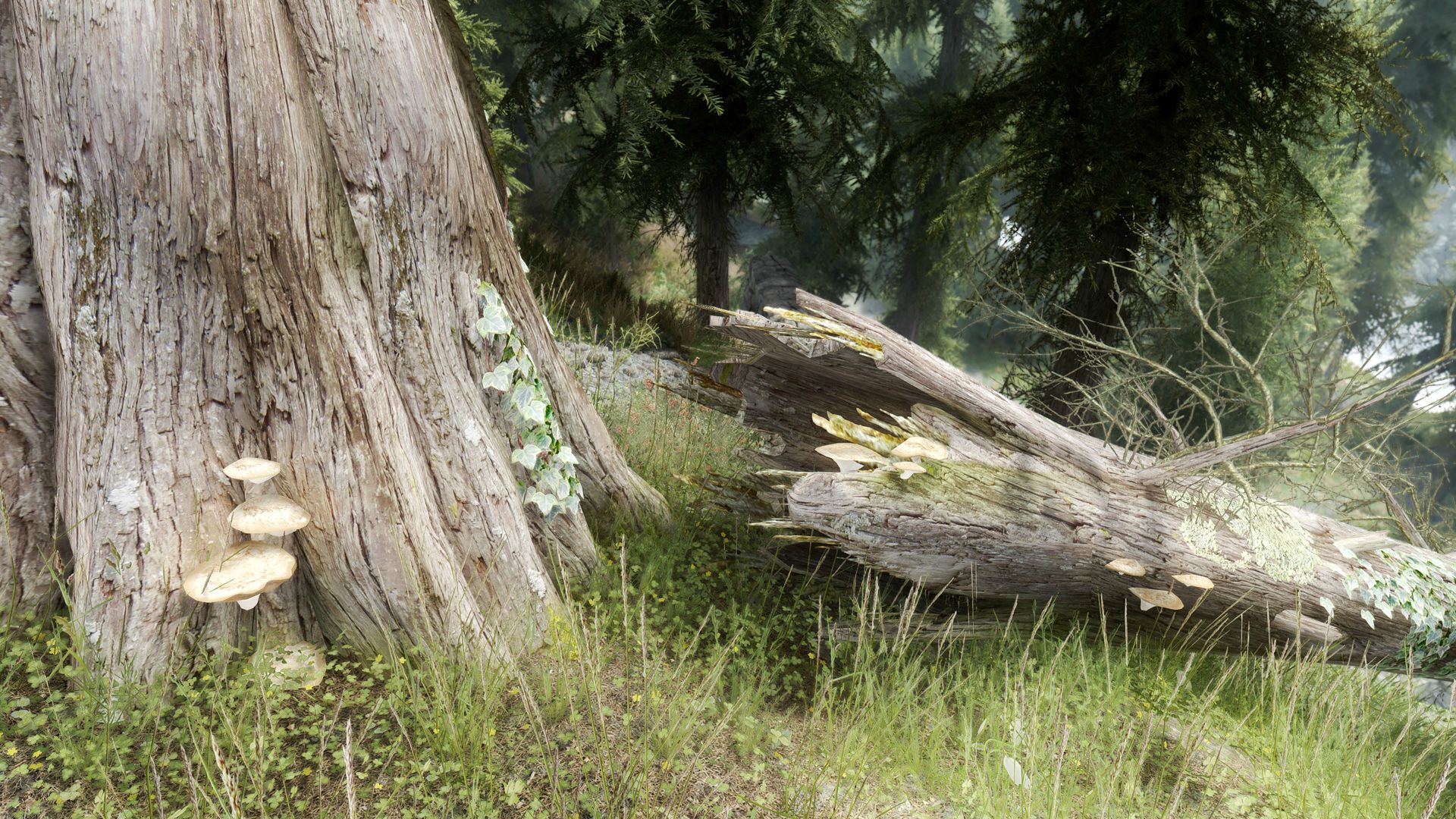 TpkDn2S.jpg
