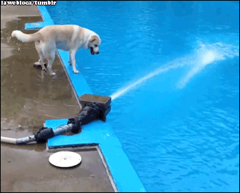 ysWjF40.gif