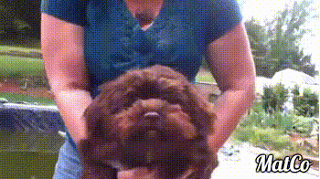 jk4e3qsh5mtx.gif