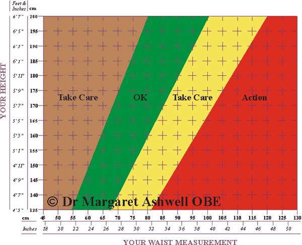 weightchartratio-waist-to-height.gif