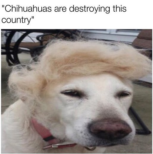 oUMXCg9.jpg