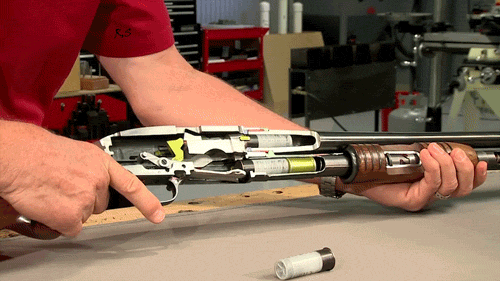 hornoxe.com_gifdump475_20.gif