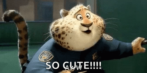 aww-cute.gif
