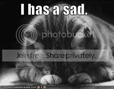 sad-cat-1.jpg