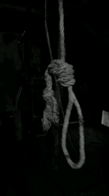 tumblr_n9zdqrd83h1tihkqfo1_250.gif