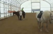 abd-282.gif