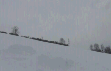 tumblr_n16bp8jYtS1s5rsdao1_400.gif