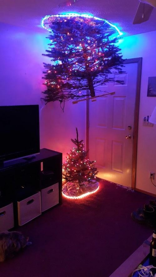 thumbs_picdump600_003.jpg